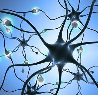 Blue-lit network of neurons signalling across their synaptic connections